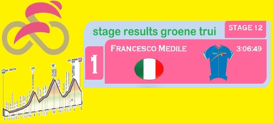 medile stage 12.pdf